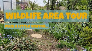 🌱 Wildlife Garden Tour  ForgetMeNots Hellebores and a Little Flying Visitor 🐦 [upl. by Latnahs]