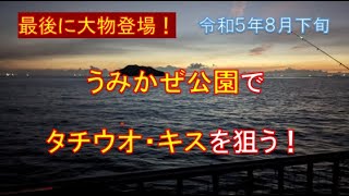 横須賀のうみかぜ公園でタチウオとキスを釣るよ（最後に大物が！？） [upl. by Tarr]