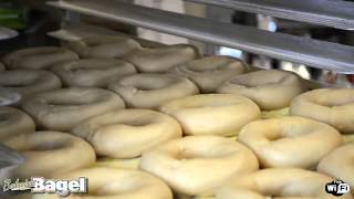 Bodacious Bagels in Ashland MA  New York Style Kettle Boiled Bagels [upl. by Ackler]