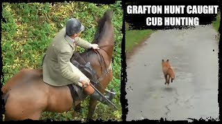 Grafton Hunt caught cub hunting [upl. by Ahsetel]