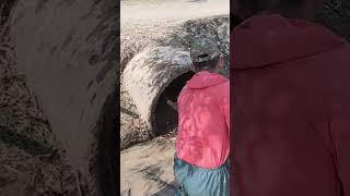 Unclog Culvert Farm Drain Water unclog drain culvert remove satisfying shorts [upl. by Akeemahs570]