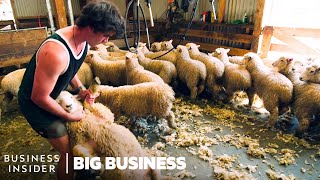 How NZ Farmers Shear 25000 Sheep In 10 Days  Big Business [upl. by Enaid]