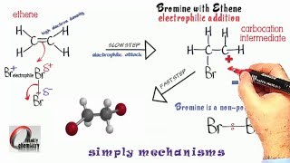 Simply Mechanisms 2 Electrophilic Addition 2 Ethene amp Bromine [upl. by Rosemary203]