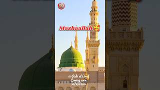 Milad Hai Sarware Ambiya Ka rasoolallah 12rabiulawal shortsfeed islam shorts trendingshorts [upl. by Aizahs]