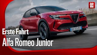 Alfa Romeo Junior Veloce  Erste Fahrt mit Rolf Klein [upl. by Ellennej]