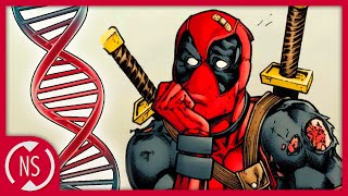 COMIC THEORY Is DEADPOOL a Mutant  Comic Misconceptions  NerdSync [upl. by Hertha]