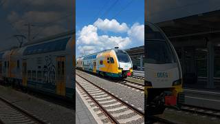 Br 445 von der ODEG braunschweig br445 sonderfahrt trainspotting [upl. by Nabroc]