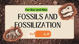 Fossils Types of Fossils and Fossilization in Hindi I with notes bsc3rdyear msc botany zoology [upl. by Naujyt]