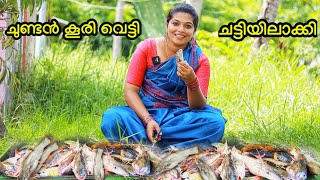 🔥ചുണ്ടൻ കൂരി വെട്ടി ചട്ടിയിലാക്കി 🤤VILLAGE COOKING smeesworld catfish cooking [upl. by Nana]