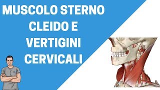 Sterno cleido mastoideo un muscolo importante nelle vertigini cervicali [upl. by Arodasi]