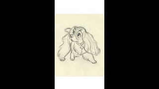 Lady and the Tramp  Original production animation drawing [upl. by Asyral]