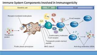 Model Informed Drug Development Approaches for Immunogenicity Assessments Workshop [upl. by Oirromed]