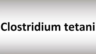 How to Pronounce Clostridium tetani [upl. by Anaeel]