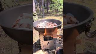 Sizzling Sausages Bushcraft Cooking Bushbox XL Trangia🔥 shorts nature cooking relaxing fire [upl. by Ziul951]