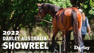 The 2022 Darley Australia Stallion Showreel [upl. by Ihsir]