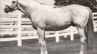 25 Greatest American Race Horses [upl. by Olsen15]