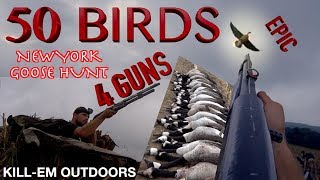 50 Honkers Die Over A Cut Corn Field In WNY With Only 4 GUNS [upl. by Daenis618]