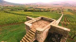 Furmint Adventures  Episode 14 Béres Winery [upl. by Eelymmij]