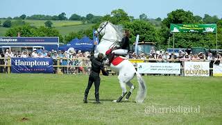 Atkinson Sports Horses captured in slow motion at the Herts County Show 2023 [upl. by Novehc]