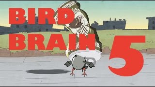 BIRD BRAIN HD  EPISODE 5 [upl. by Naaitsirhc]