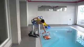 Der Poolroboter Dolphin in Aktion  So funktioniert unser Poolsauger [upl. by Angadreme944]