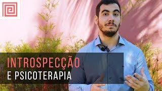 Introspecção e Psicoterapia  Como funciona essa relação [upl. by Nerot868]