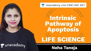 Intrinsic Pathway of Apoptosis  Life Science  Unacademy Live CSIR UGC NET  Neha Taneja [upl. by Eissim]