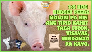 15 Hog Budget Feeds Malaki Pa Rin Ang Tipid Kahit Taga Luzon Visayas Mindanao Pa Kayo [upl. by Mosira]