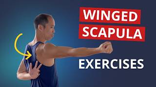 4 Exercises to Fix Winged Scapula amp Build STABLE Shoulder Blades [upl. by Goodden]