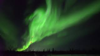 4k Live Aurora Borealis  Realtime Northern Lights  FAIRBANKS ALASKA [upl. by Kcirderfla897]