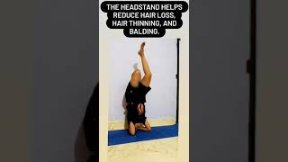 Increase the blood supply to the scalp and promote hair growth  yoga fitness sirsasana online [upl. by Leiba575]