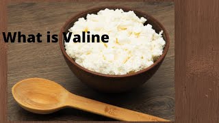 What is Valine [upl. by Airotcivairam]