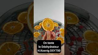 Test du Déshydrateur HKoenig DSY700  la Déshydratation à Petit Prix  🍎🍇🍓 [upl. by Koziara227]