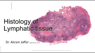 Perimembranous VSD [upl. by Ahsital393]