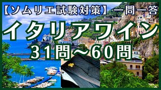 33【2023年】後半 イタリアワイン一問一答 15倍速推奨 ソムリエ試験対策 ◆独学予測問題 [upl. by Beaver]