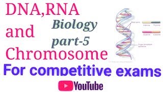 Biology DNA amp RNA डी एन ए और आर एन ए का संपूर्ण अध्ययन [upl. by Eirok]