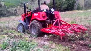 Tractor Belarus 321 with cultivator Faza [upl. by Brookner512]