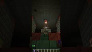 a glitch in the new minecraft update [upl. by Trojan]