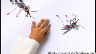 Repelente de mosquitos quotRevista del Consumidor TVquot 305 [upl. by Bhayani]