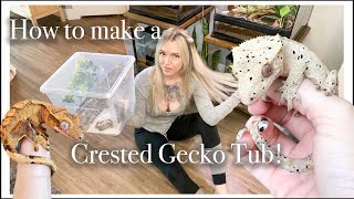 How to Set Up a Crested Gecko Tub  How I Incubate My Babies [upl. by Wetzel54]