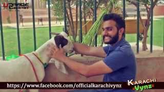 Things Not To Do On BAKRA EID By Karachi Vynz Official [upl. by Grimonia637]