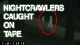 Nightcrawler Creatures Caught on Tape [upl. by Bravin]