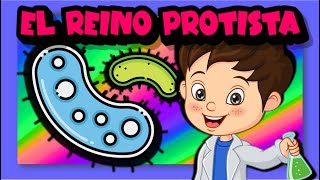 El reino protista 🦠🧫🌿 [upl. by Joleen]