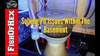 Solving Ph Issues Within The Basement  Fish Room Setup Part 6 [upl. by Canon]