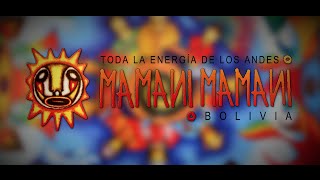 Toda la Energia de los Andes  Mamani Mamani [upl. by Hsima805]