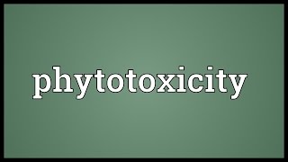 Phytotoxicity Meaning [upl. by Elocan]