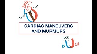 Cardiac Murmurs and Maneuvers Valsalva Handgrip Squatting Inspiration  Quiz [upl. by Nefets]