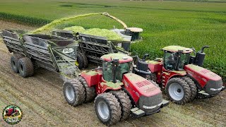 Corn Silage Harvest with Krone Big X and Double Dump Carts [upl. by Ahtnicaj]