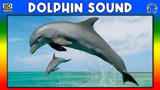 🐬 DOLPHIN SOUND  DOLPHIN SOUND EFFECT  SOUND OF DOLPHIN  NOISE OF DOLPHIN [upl. by Anirehs]