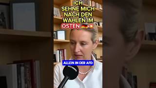 💥DER OSTEN wird Siegen 💥 afd landtagswahl thüringen 2024 höcke brandenburg spd ampelmussweg [upl. by Aneema82]